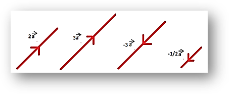 Scalar multiplicaiton of vectors