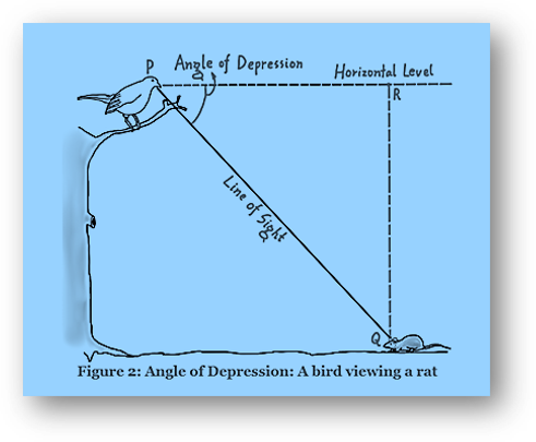 Height & distance | applications of trigonometry | mcqs, assertion & reason, case study, formulas, faqs, examples, practice questions-anand classes Angle of depression in height and distance