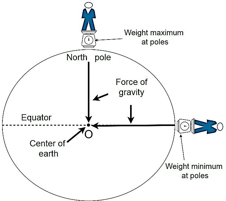 Variation of acceleration due to gravity (g) due to shape of earth | notes, important questions & answers, mcqs, quiz-anand classes G is the highest on the poles and lowest on the equator.