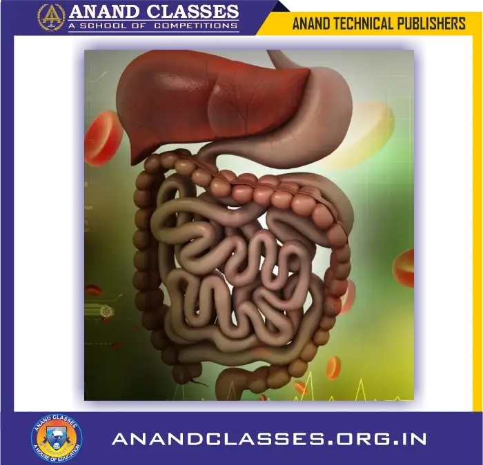 Holozoic nutrition for class 10 science biology and neet foundation, mcqs, questions answers, worksheet, test paper-anand classes Types of heterotrophic nutrition-holozoic nutrition