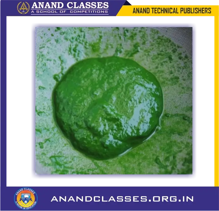 Nutrition in plants, mechanism and conditions of photosynthesis class 10 science biology and neet foundation-anand classes Chlorophyll is present in the green coloured bodies called ‘chloroplasts