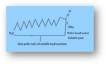 Mechanism of cleansing action of soap a soap molecule is made up of two parts: a long hydrocarbon tail that is soluble in oil and another component that is soluble in water.
