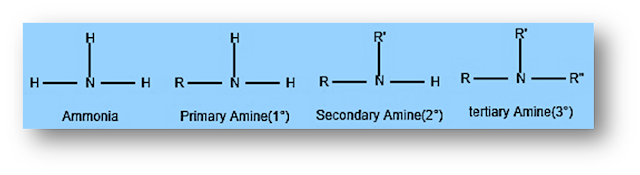 Amines are an important class of organic compounds. They are widely found in both plants and animals. They are found among proteins, vitamins, alkaloids, hormones, etc. Synthetic examples include polymers, drugs, dyestuff, etc. These amines are widely used. For example, quinine is an important anti-malarial drug, adrenaline and ephedrine are used to raise blood pressure, novocaine is used as an anesthetic in dentistry, codeine is used as an analgesic (as a pain reliever). Benadryl is used as an antihistamine drug. Quaternary ammonium salts are used as surfactants.