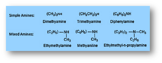 Amines are an important class of organic compounds. They are widely found in both plants and animals. They are found among proteins, vitamins, alkaloids, hormones, etc. Synthetic examples include polymers, drugs, dyestuff, etc. These amines are widely used. For example, quinine is an important anti-malarial drug, adrenaline and ephedrine are used to raise blood pressure, novocaine is used as an anesthetic in dentistry, codeine is used as an analgesic (as a pain reliever). Benadryl is used as an antihistamine drug. Quaternary ammonium salts are used as surfactants.